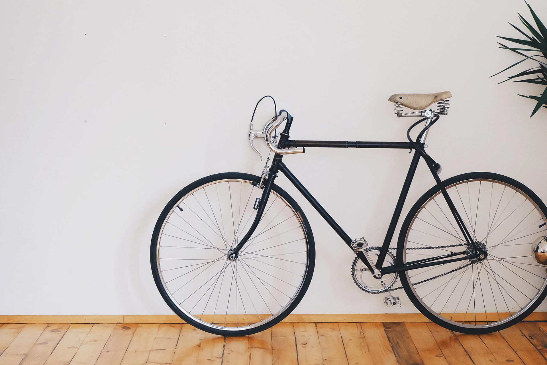 Accueil (test) avec Classic Carrousel